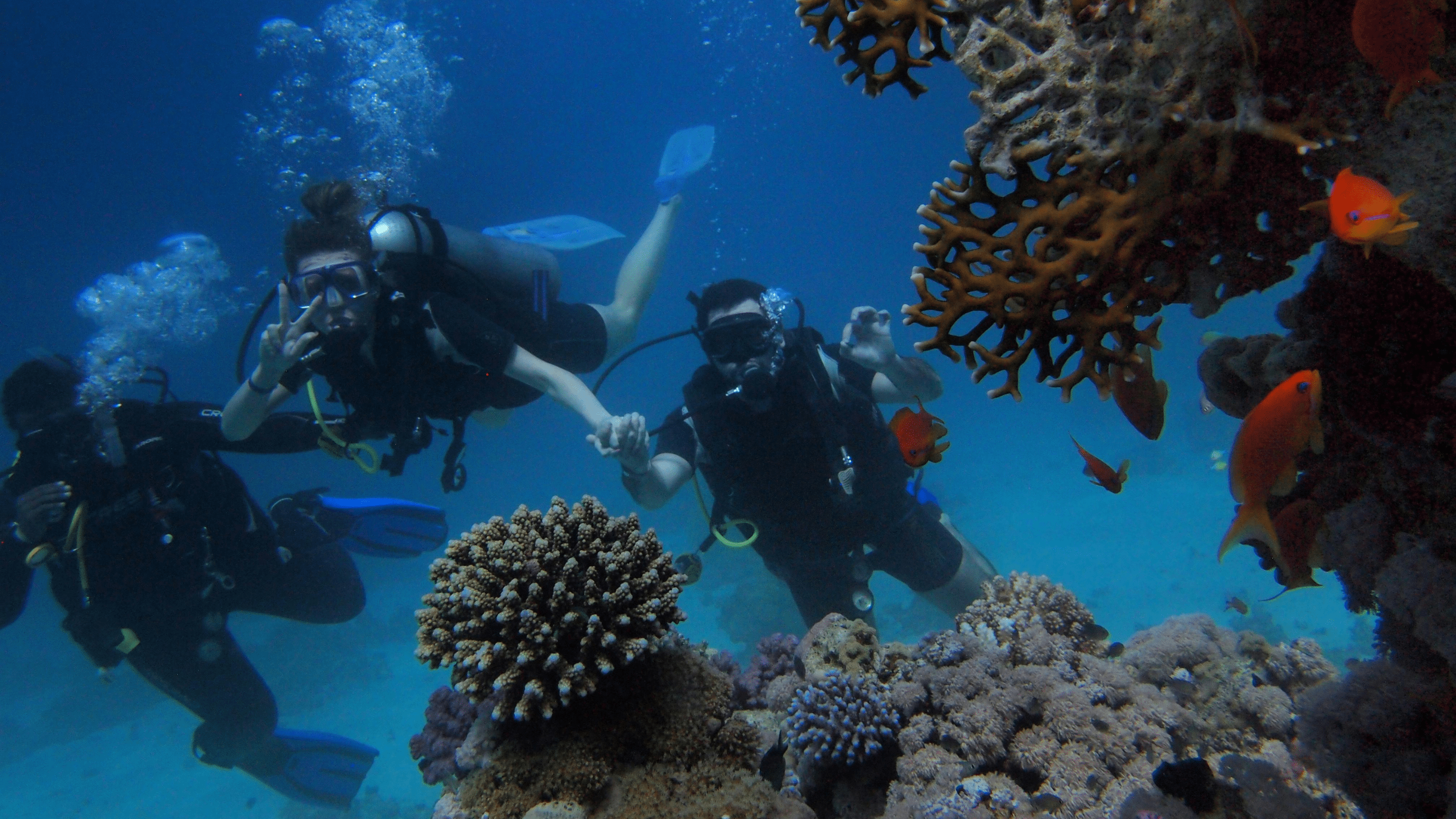 lifestyle diving