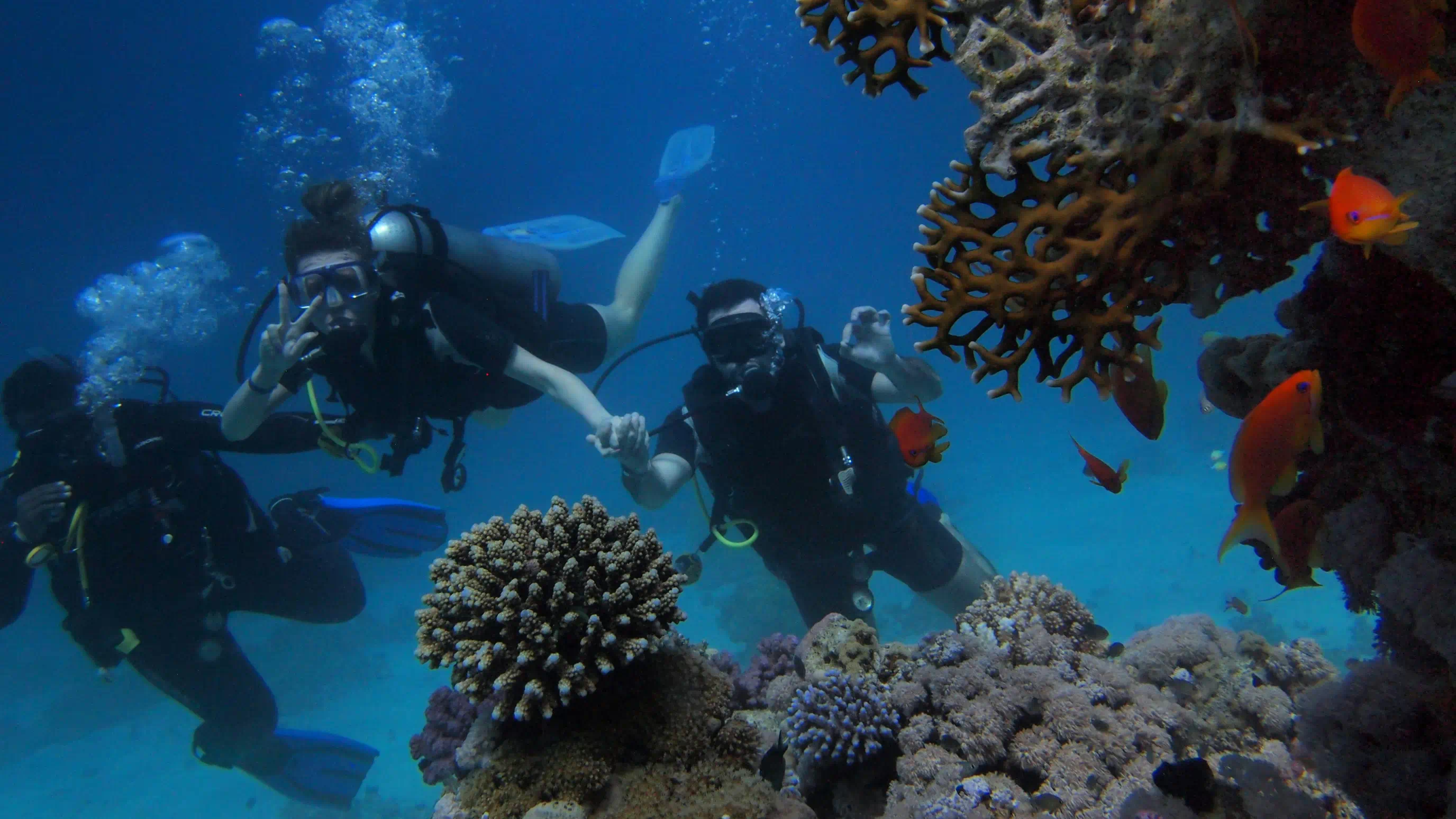 lifestyle diving
