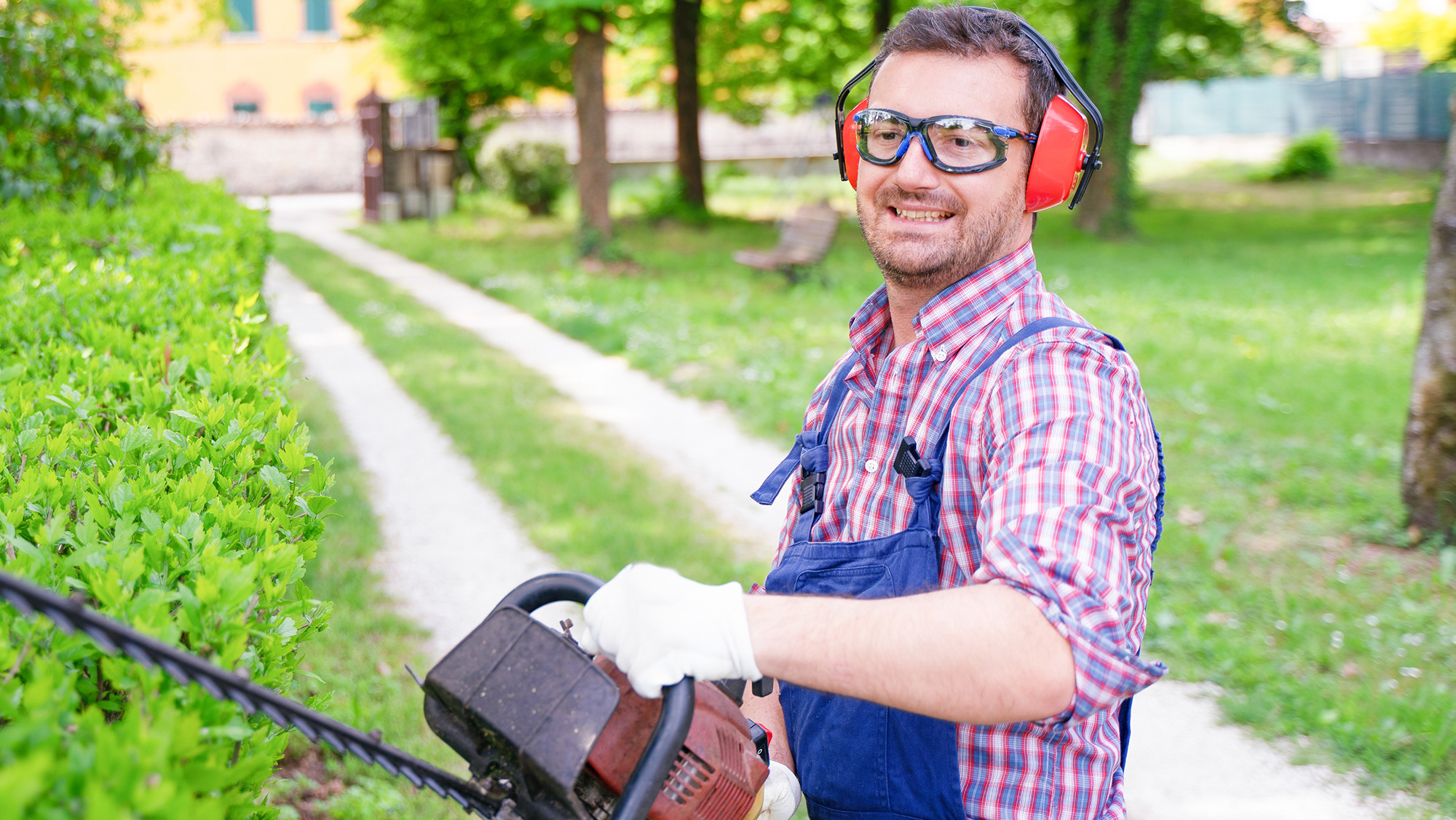 Protect you hearing when doing noisy work such as cutting your hedge to prevent hearing loss