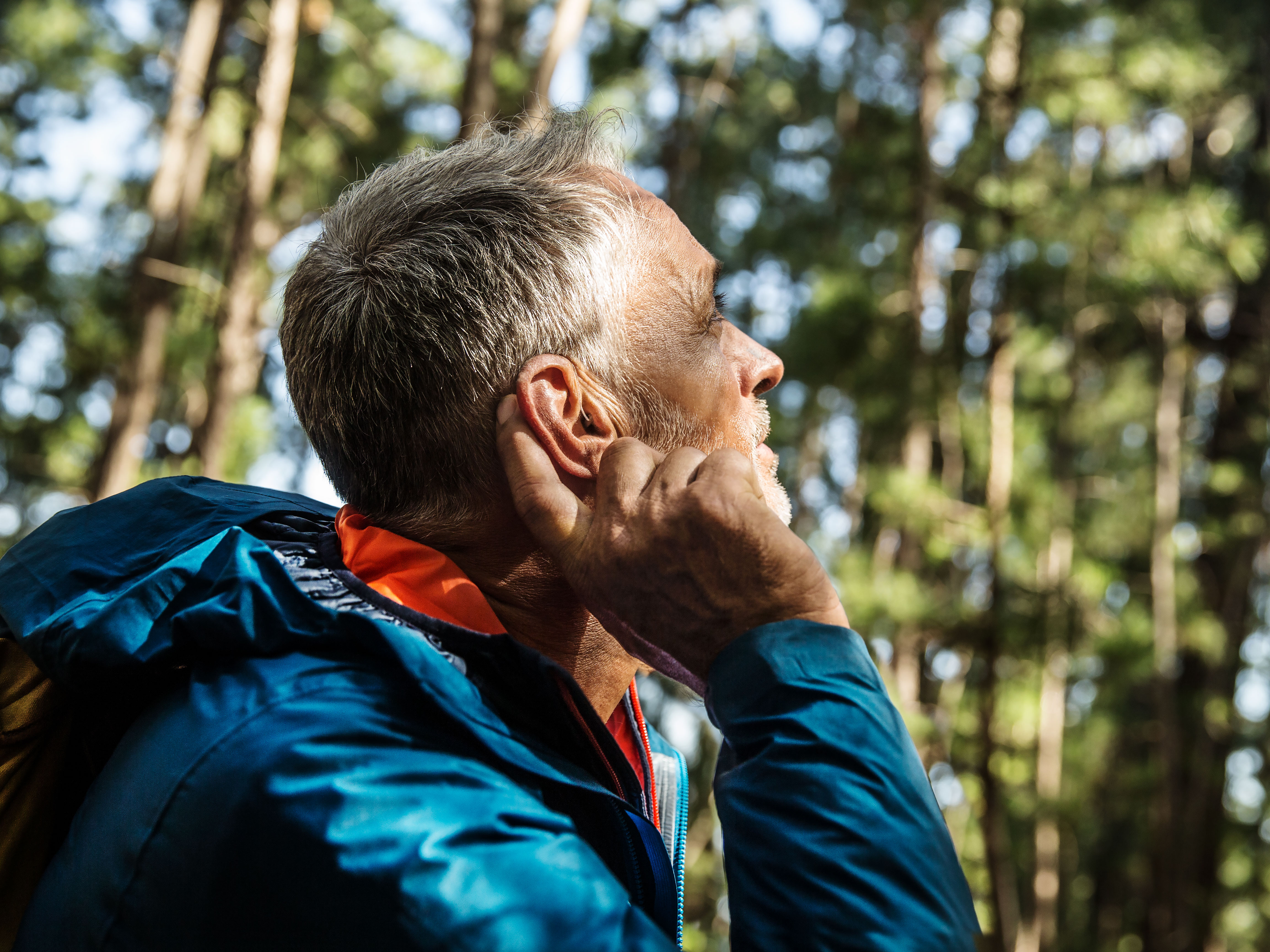 Hear the songs of the forest thanks to hearing aids