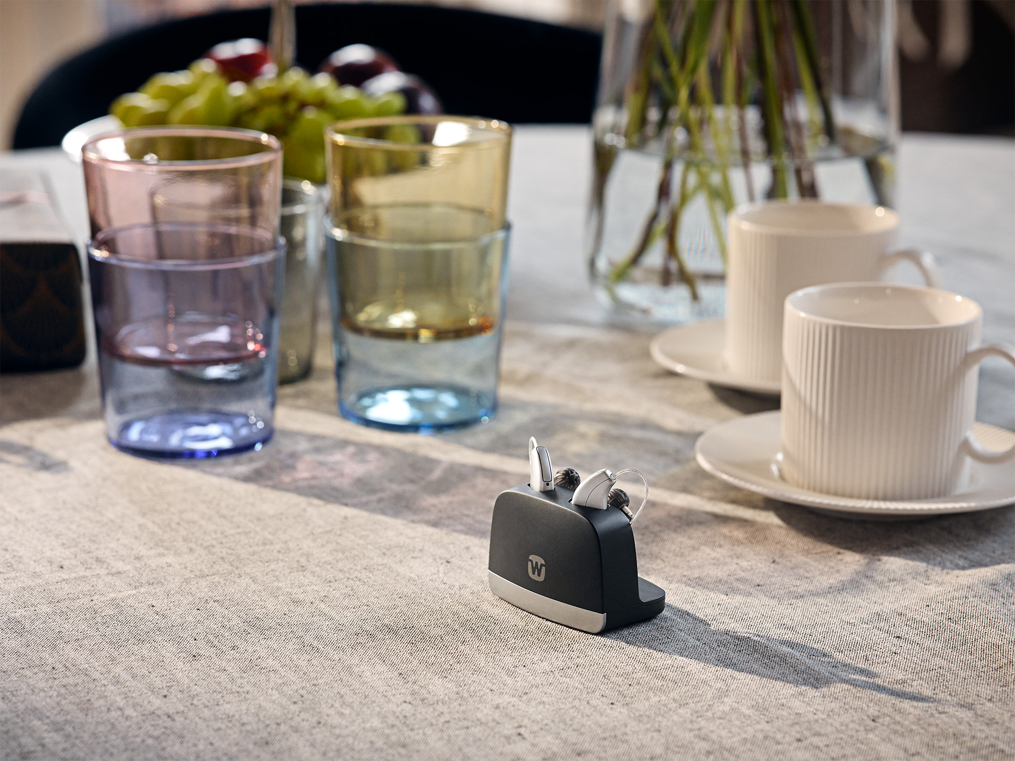 rechargeable hearing aids