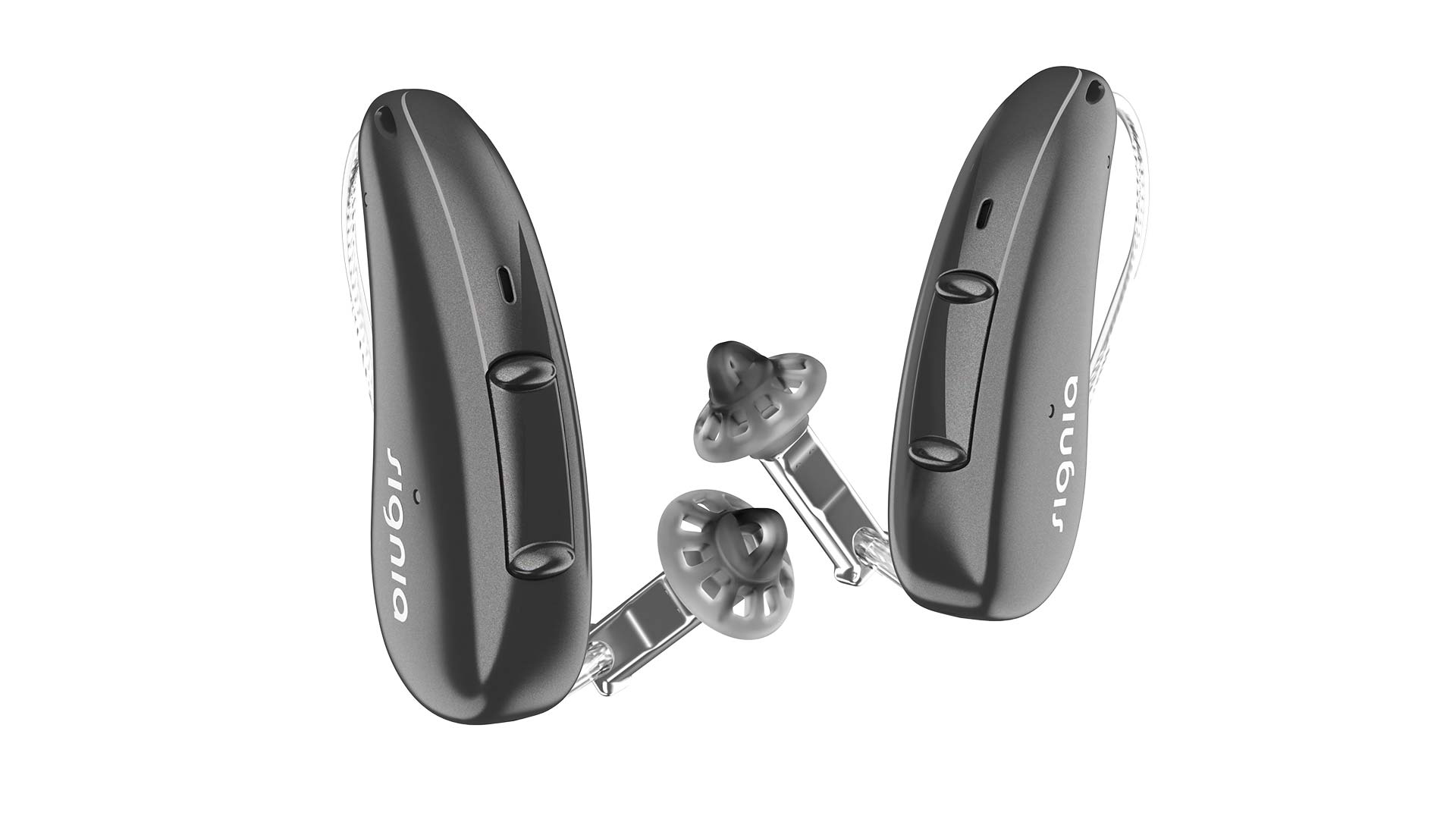 Signia pure charge and go ax graphite pair. 